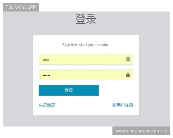 云顶集团进入官网的安全性分析及用户登录流程介绍